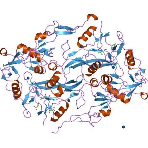 Follistatin 344 chemical structure