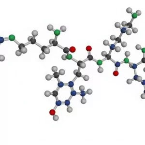SS-31 molecular structure